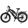 High performance powerful double lithium battery fat tire electric bicycle